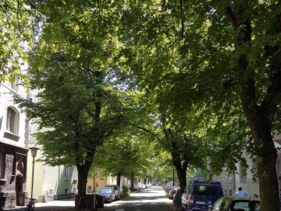 Holiday apartment Stachel - Outdoor photo 3