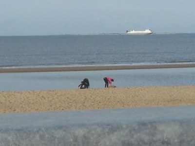 Holiday house Schoneveld 24 - Environment photo 17