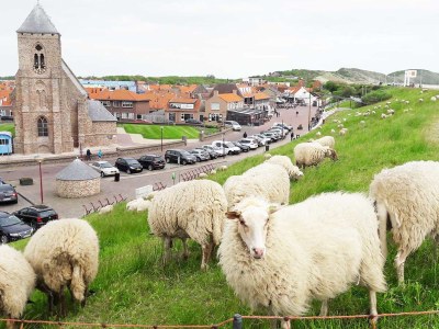 Bungalow The Breakwater - Environment photo 30