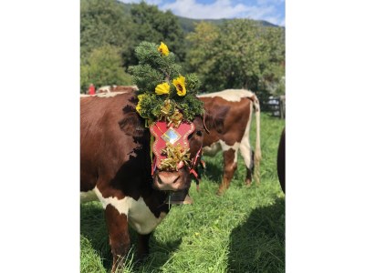 Holiday house holidayhouse Tauernblick for aprox.31 people - Environment photo 33