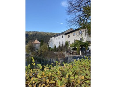 Holiday house holidayhouse Tauernblick for aprox.31 people - Environment photo 39