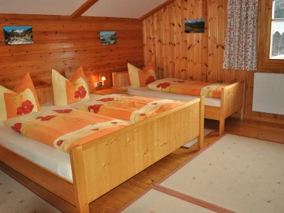 Holiday apartment Battlogg - Features photo 8