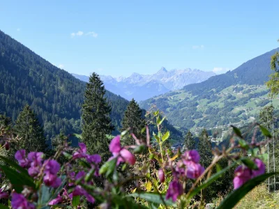 Holiday apartment Battlogg - Environment photo 26