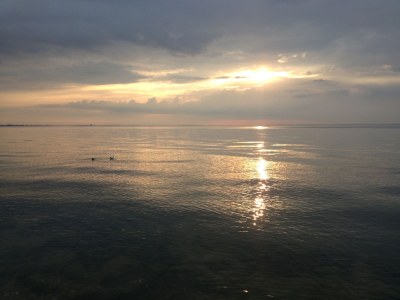 Holiday apartment Hansestadt Hamburg - Environment photo 13