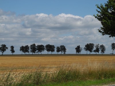 Holiday house Häuschen über der Lanke - Environment photo 24