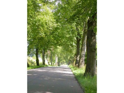 Holiday house Häuschen über der Lanke - Environment photo 27