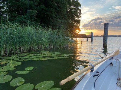 Holiday house Häuschen über der Lanke - Environment photo 29