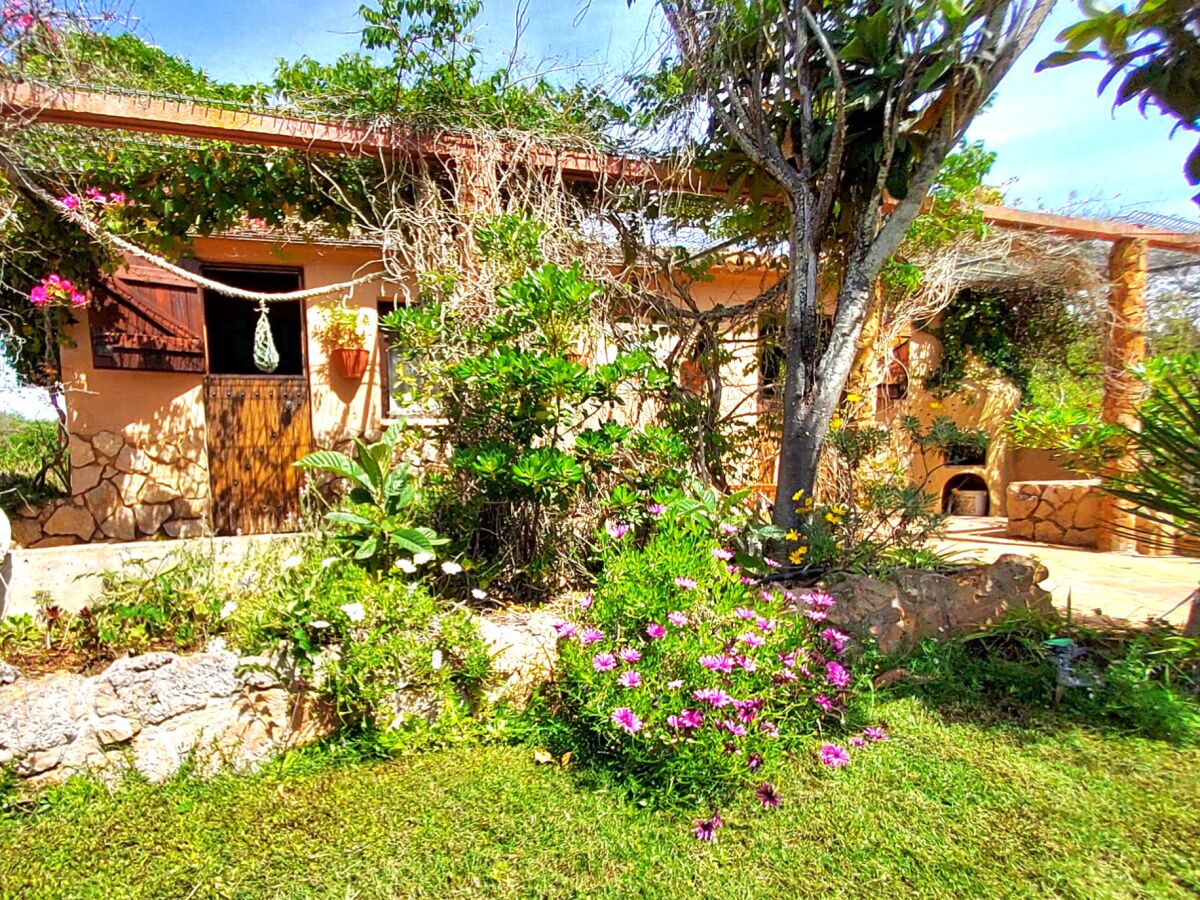 Holiday house Casa Velha - Outdoor photo 3