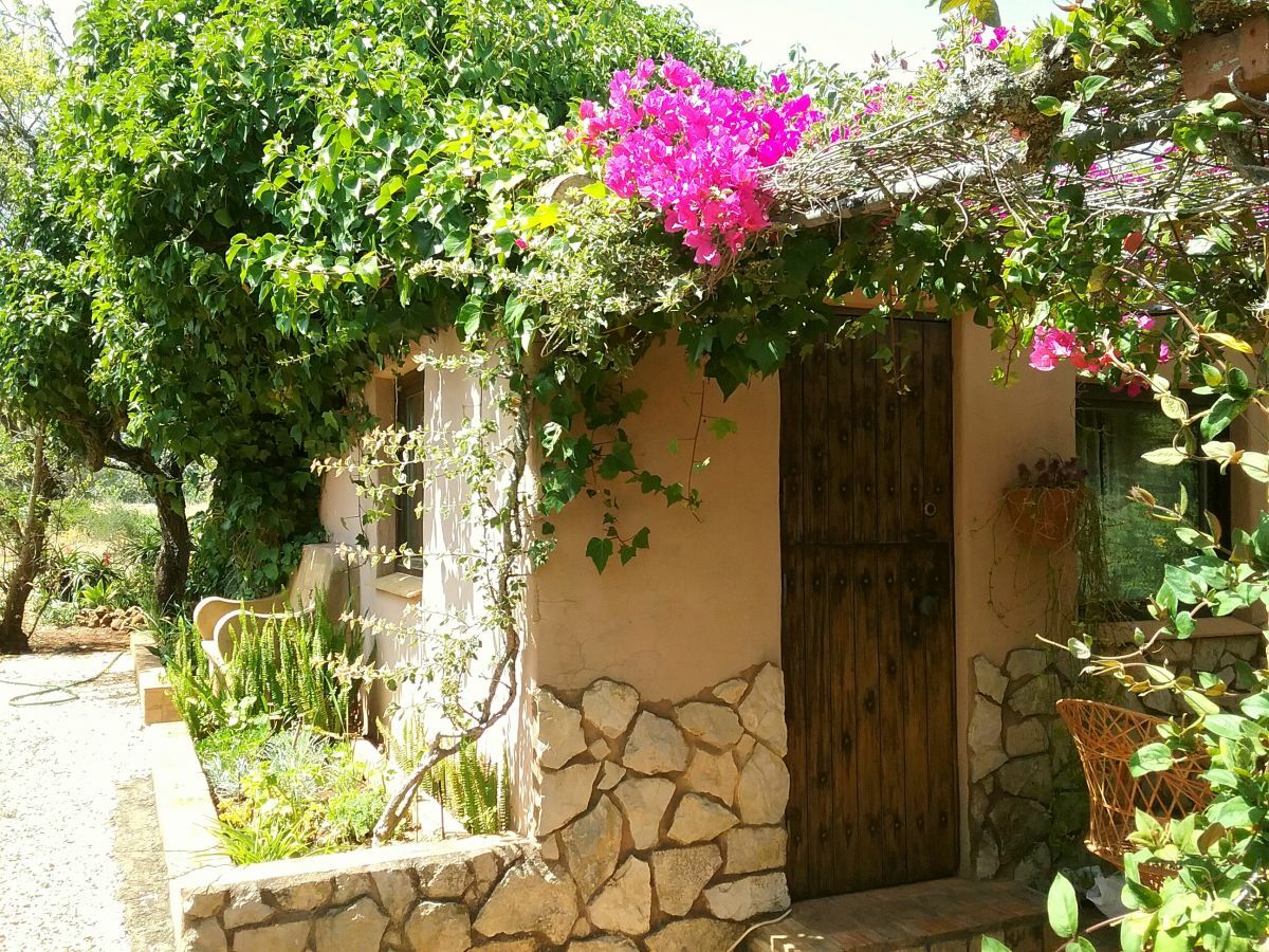 Holiday house Casa Velha - Outdoor photo 4