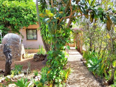 Holiday house Casa Velha - Outdoor photo 8