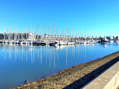 Holiday house Casa Velha - Environment photo 24