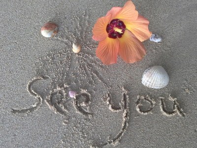 Holiday house Casa Velha - Document photo 40