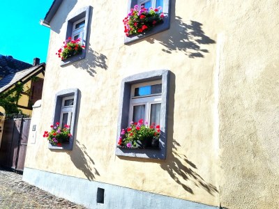 Holiday house Maifelder Uhlenhorst - Outdoor photo 4