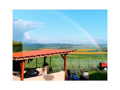 Holiday house Maifelder Uhlenhorst - Outdoor photo 9