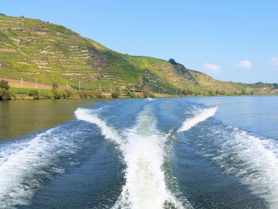 Holiday house Maifelder Uhlenhorst - Environment photo 39