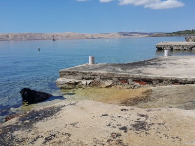 Holiday apartment Villa Palma Karlobag - Environment photo 28