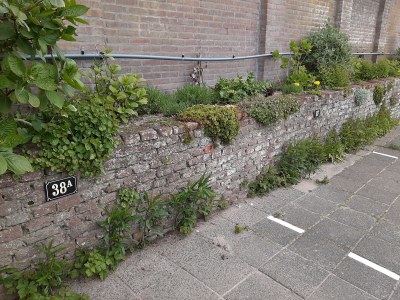 Holiday apartment de Bels - Outdoor photo 6