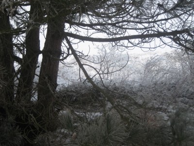 Holiday apartment de Bels - Environment photo 28