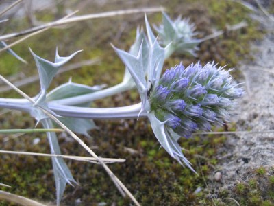 Holiday apartment de Bels - Environment photo 29