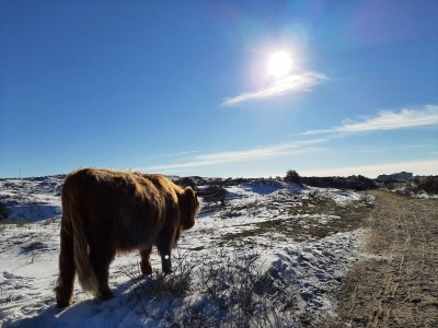 Holiday apartment de Bels - Environment photo 30