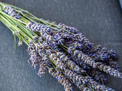 Holiday apartment Jimy - Features photo 13