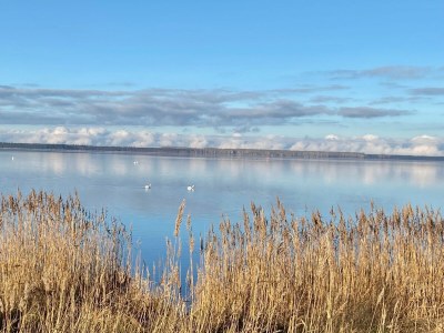 Holiday house Ufer 7 - Outdoor photo 11