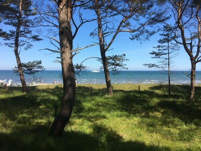 Holiday house Ufer 7 - Environment photo 33