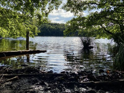 Holiday house Ufer 7 - Environment photo 39