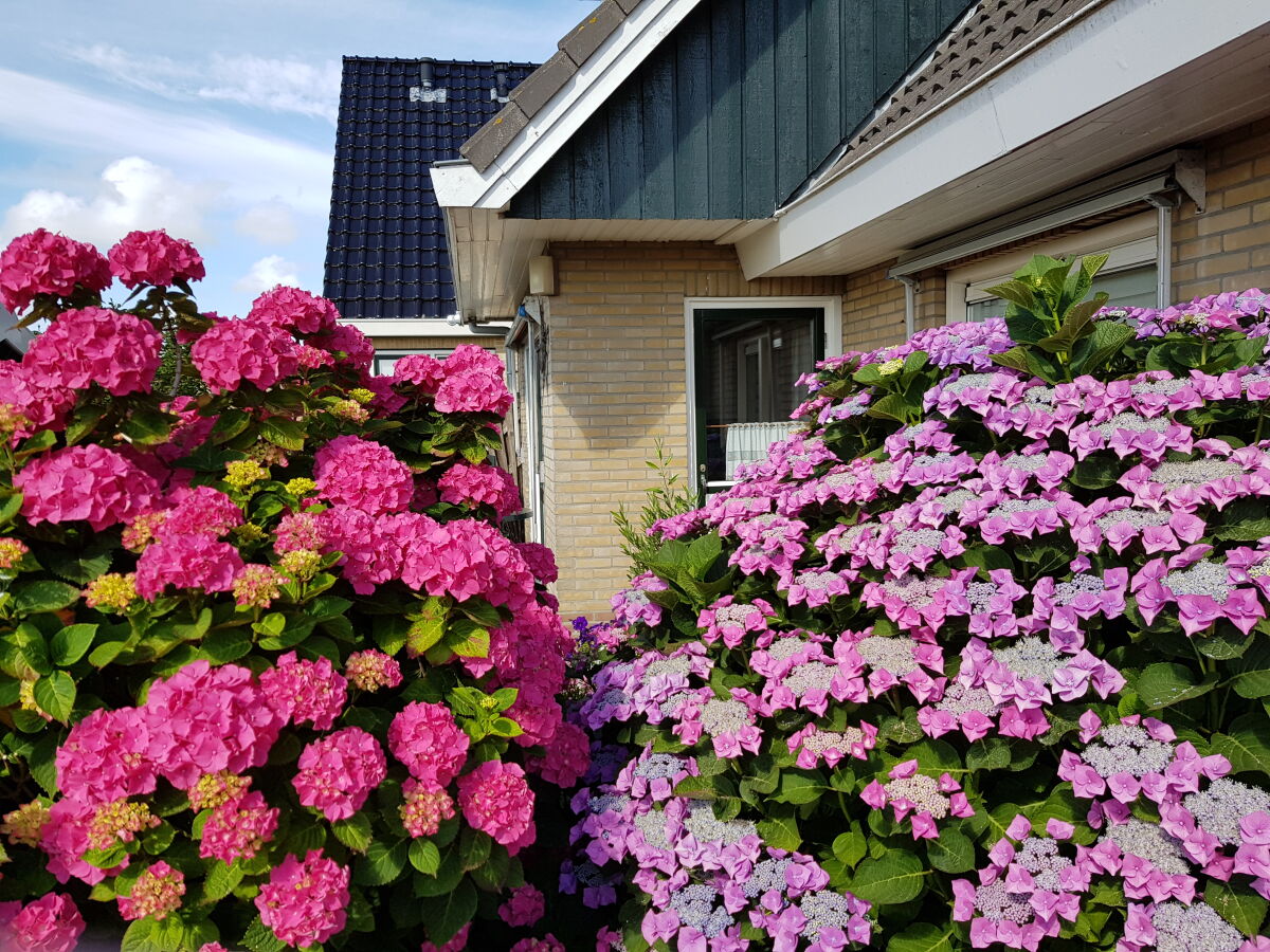 Apartment Wesley - Outdoor photo 4