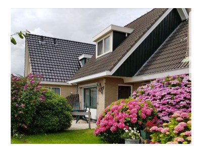 Apartment Wesley in Ameland - Apartment