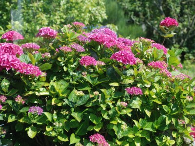 Apartment Wesley - Outdoor photo 2