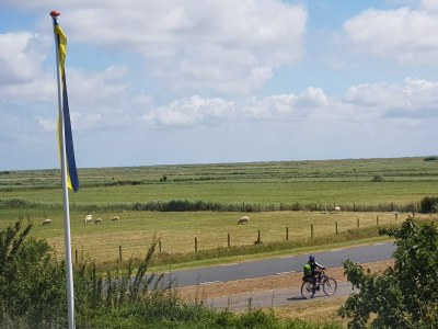 Apartment Wesley - Outdoor photo 6