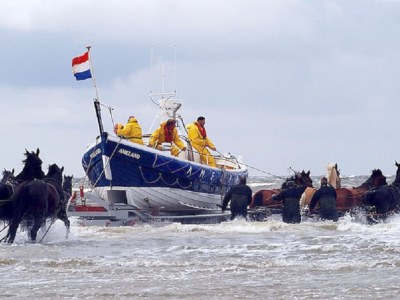 Apartment Wesley - Environment photo 17