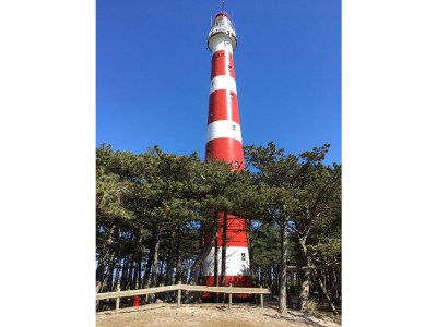 Apartment Wesley - Environment photo 18