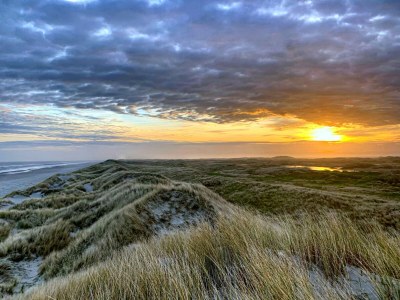 Apartment Wesley - Environment photo 20