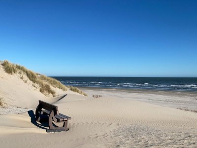 Apartment Wesley - Environment photo 21