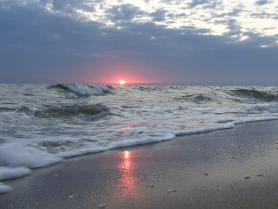 Apartment Wesley - Environment photo 23