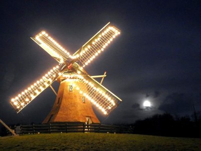 Apartment Wesley - Environment photo 25