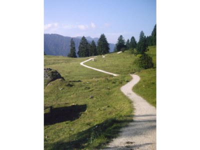 Holiday apartment 1 at House Bella Bavaria - Environment photo 16