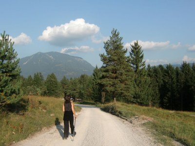 Holiday apartment 1 at House Bella Bavaria - Environment photo 17