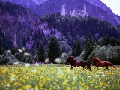 Holiday apartment 1 at House Bella Bavaria - Environment photo 19