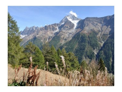 Holiday apartment "Hockenhorn 4 two families" - Environment photo 35