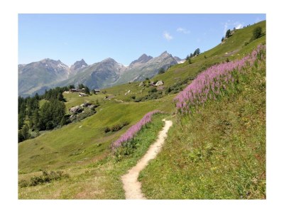 Holiday apartment "Hockenhorn 4 two families" - Environment photo 37