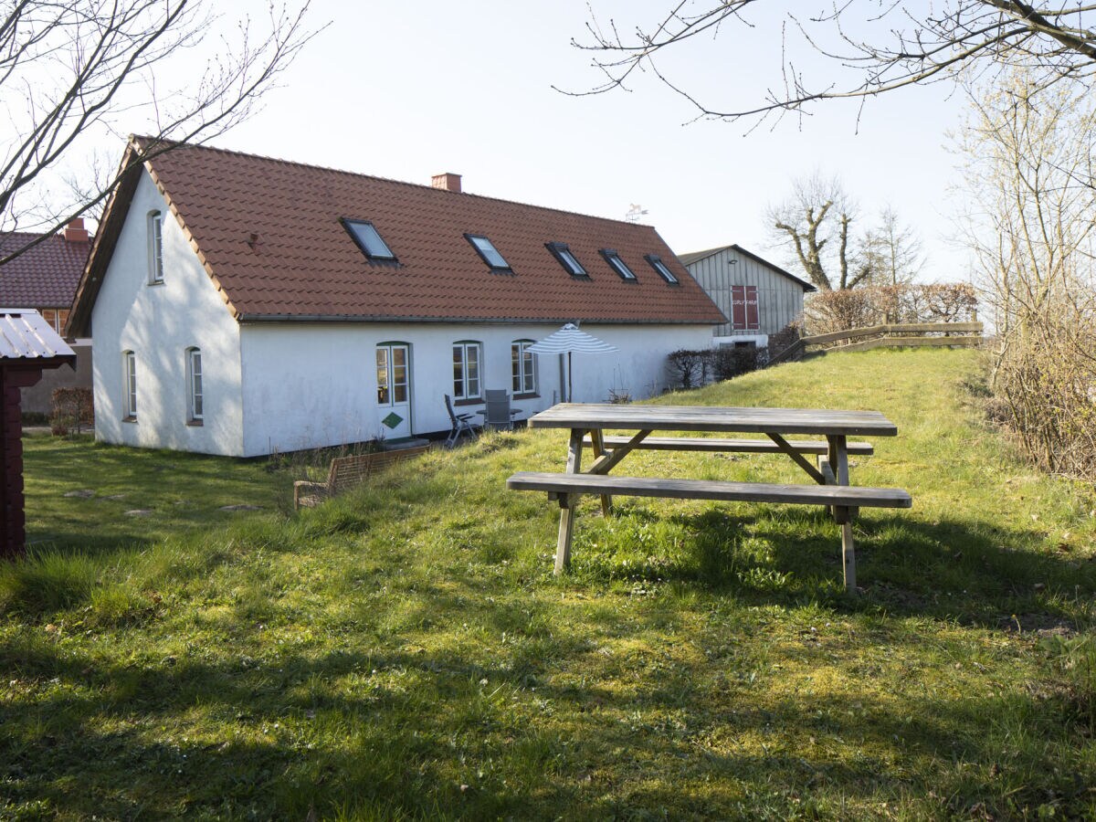 Holiday house Farm - Outdoor photo 3