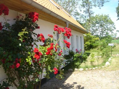 Holiday house Farm - Outdoor photo 4