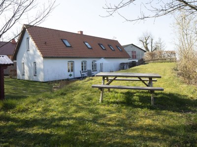 Holiday house Farm - Outdoor photo 8