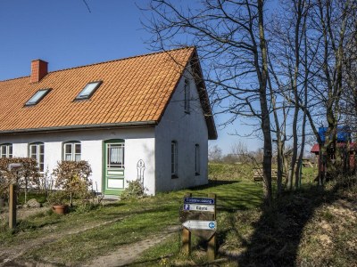 Holiday house Farm - Outdoor photo 13