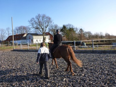 Holiday house Farm - Environment photo 28