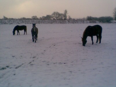 Holiday house Farm - Environment photo 30