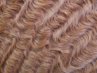 Holiday house Farm - Environment photo 31